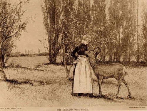 Artwork of Mary Hallock Foote