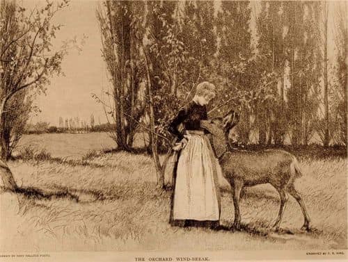 Artwork of Mary Hallock Foote