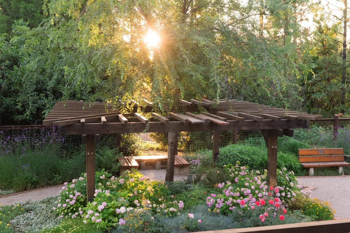 Overhead view of the Heritage Garden in bloom at North Star House