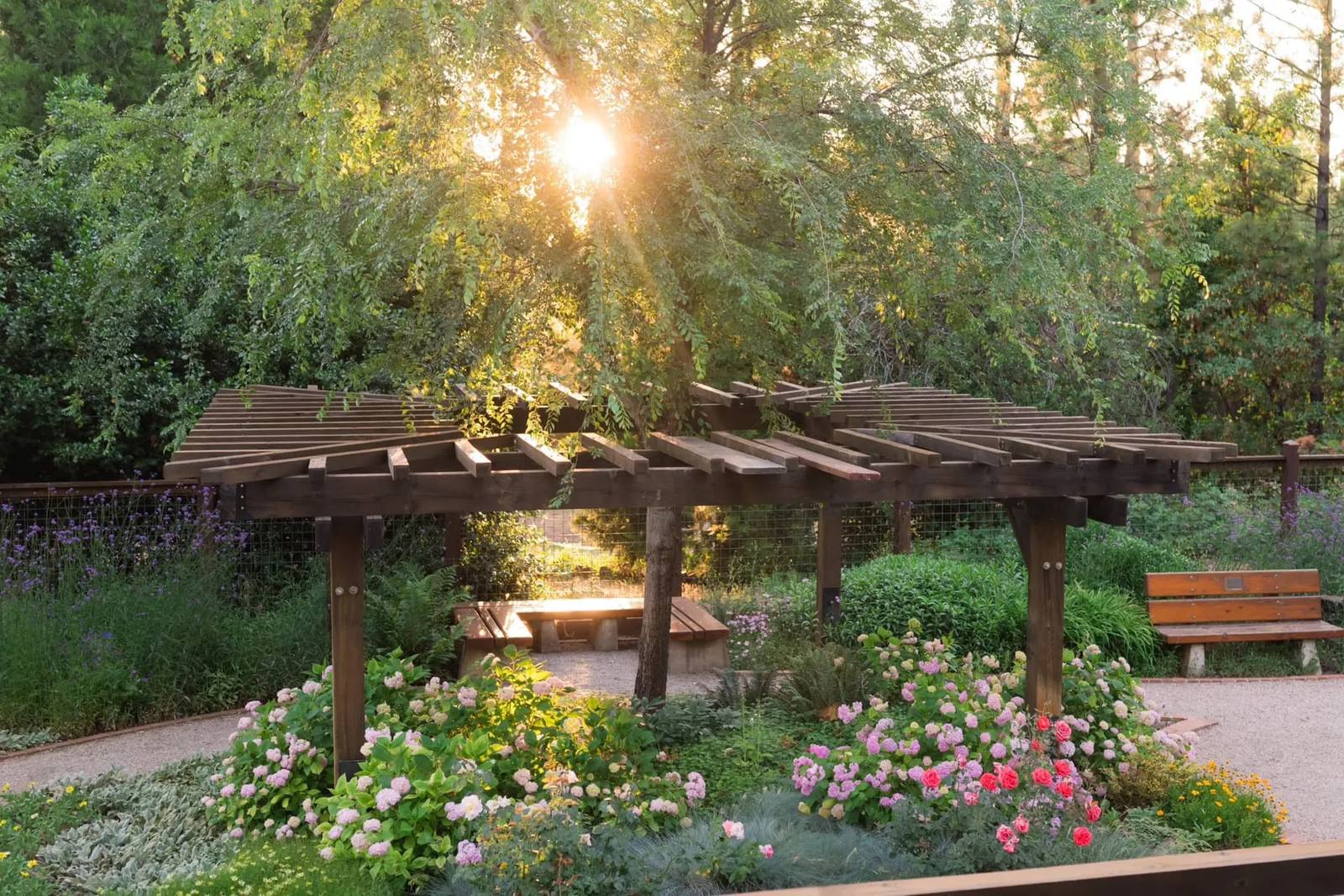Beautiful blooming garden overhead view