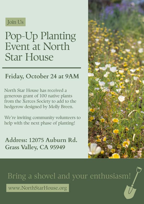 Pop-Up Planting Event at North Star House