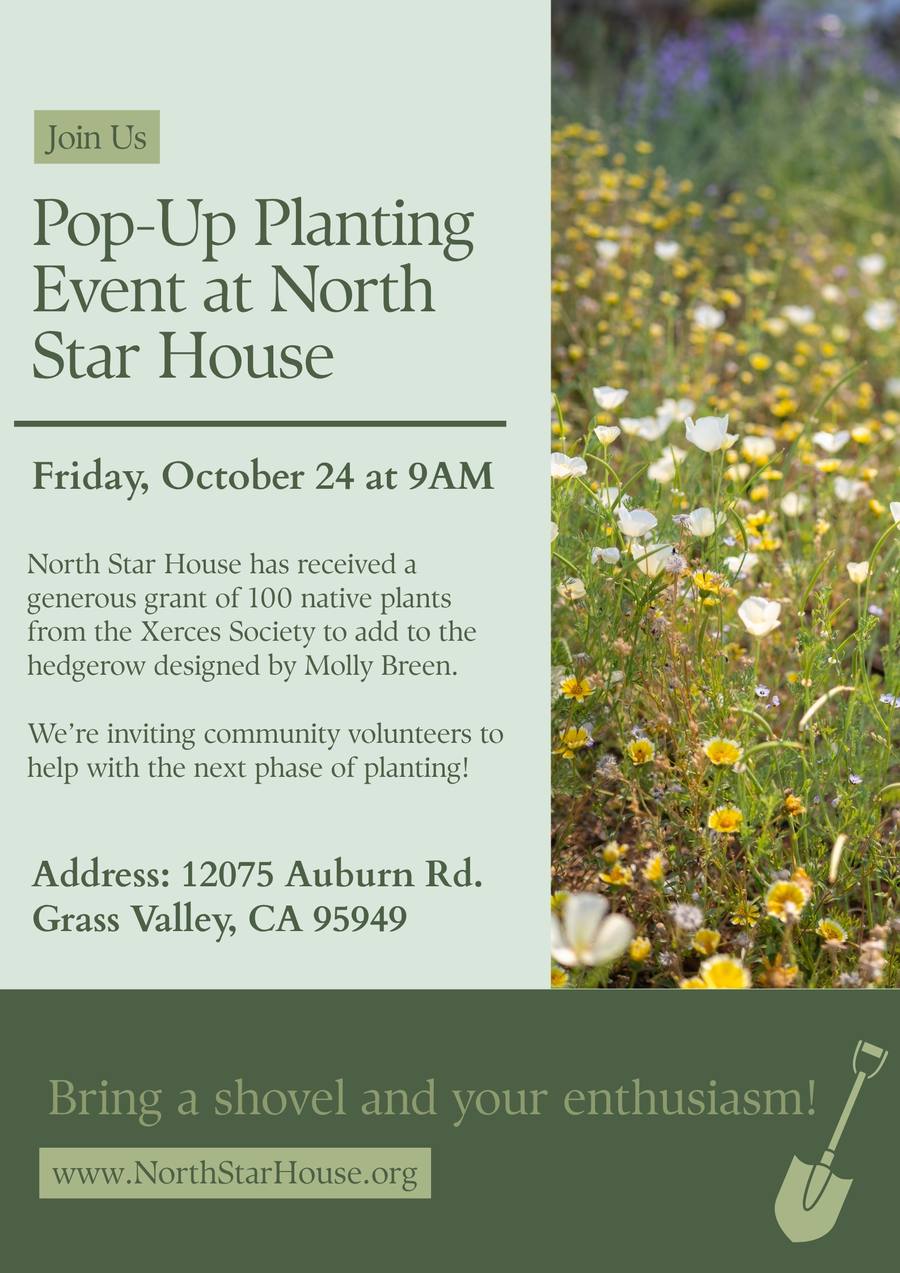 Pop-Up Planting Event at North Star House
