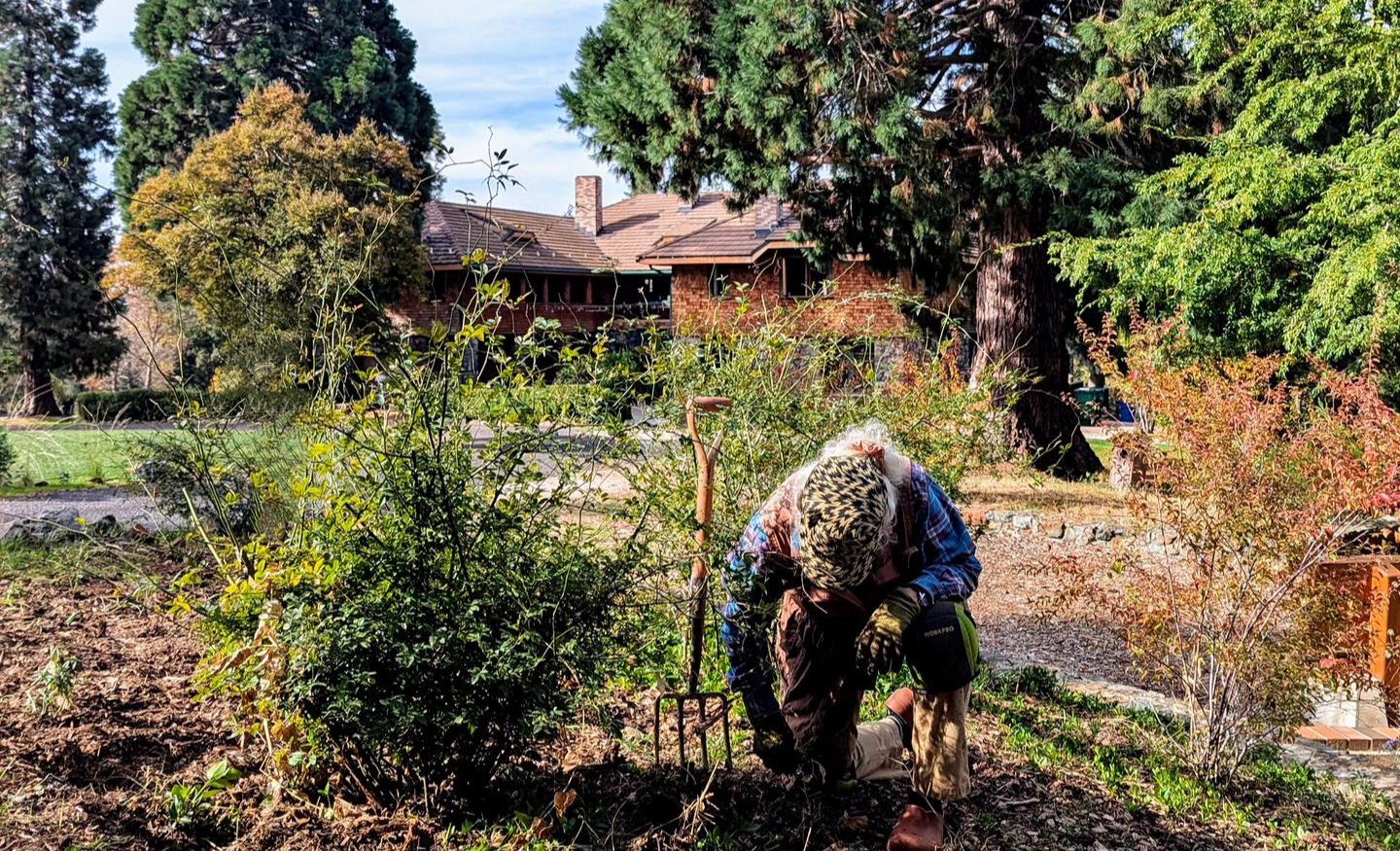 Sustainable Landscaping at North Star House: Native Plants, Irrigation & Community Action
