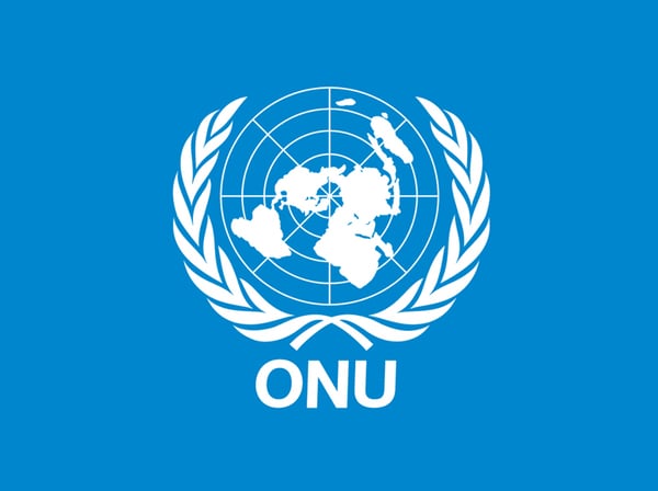 O emblema da Organização das Nações Unidas ONU é mostrado sobre um fundo azul. Ele tem um mapa-múndi visto de cima, com o Polo Norte no centro, cercado por dois ramos de oliveira. O mapa inclui todos os continentes e os ramos de oliveira simbolizam a paz.