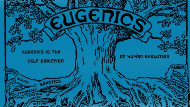 Ilustração de uma árvore com o título Eugenics no topo, representando a eugenia como se fosse uma ciência central que sustenta várias outras áreas. A frase Eugenics is the self direction of human evolution aparece ao redor do tronco. Nas raízes estão palavras como genética, biologia, psicologia, antropologia, história, e medicina, sugerindo que todas alimentam a eugenia. A imagem tem caráter propagandístico e histórico, refletindo a visão pseudocientífica de que a eugenia é a base para o progresso humano.