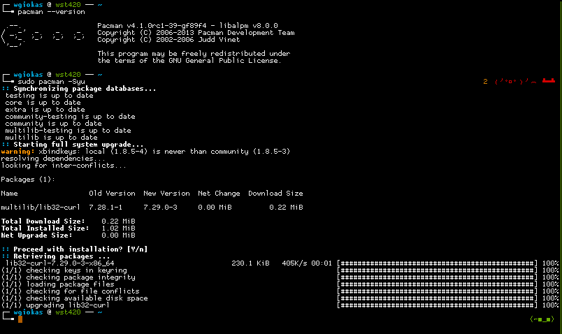 Terminal do Arch Linux executando o gerenciador de pacotes pacman, com barra de progresso da instalação e resumo dos pacotes baixados.