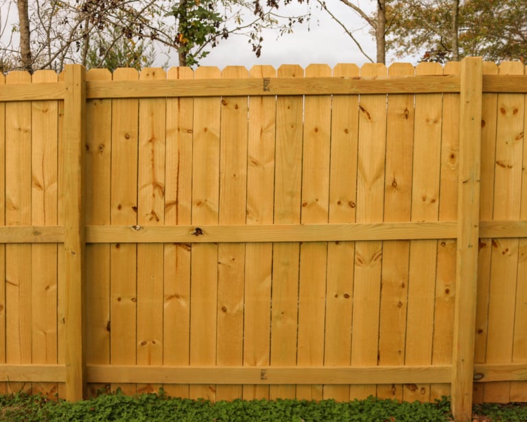 Dog Ear fence staining