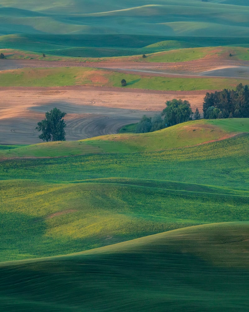 Photographing the Palouse: Three Days of Chasing Light Across America’s Most Beautiful Farmland