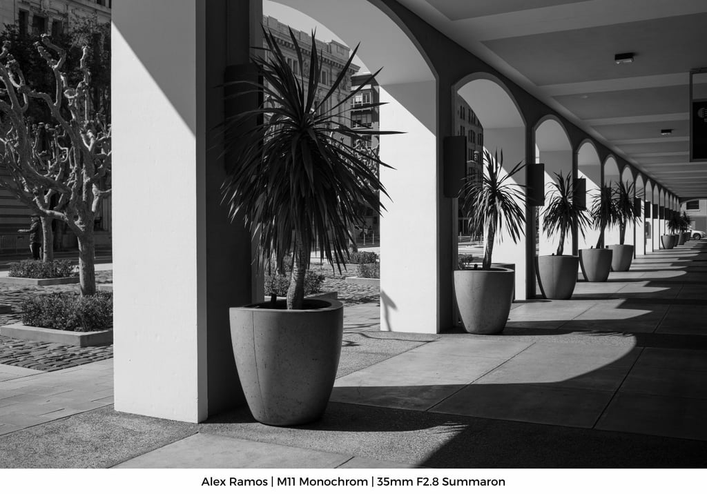 Alex-Gallery-M111
