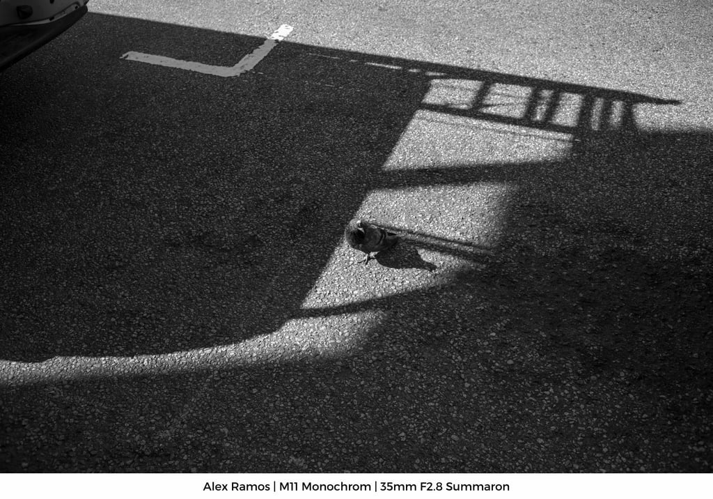 Alex-Gallery-M112