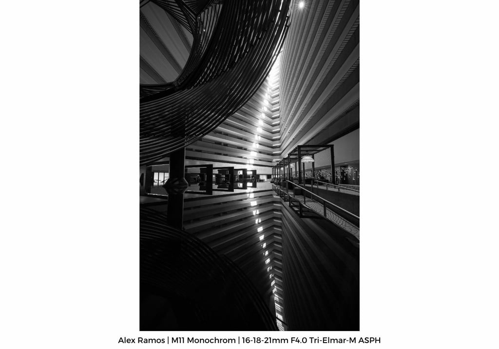 Alex-Gallery-M119