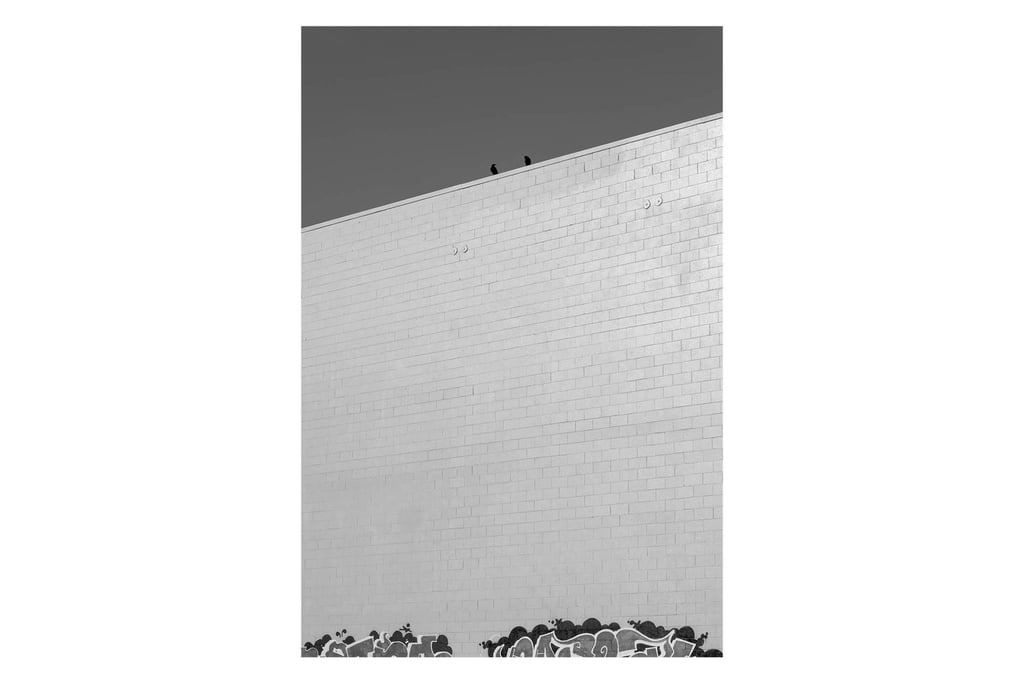 Alex_Ramos_90MMAPO-1_0004_5