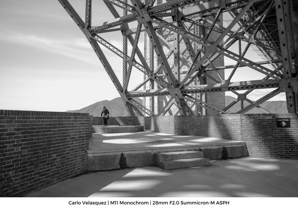 Carlo-Gallery-M119