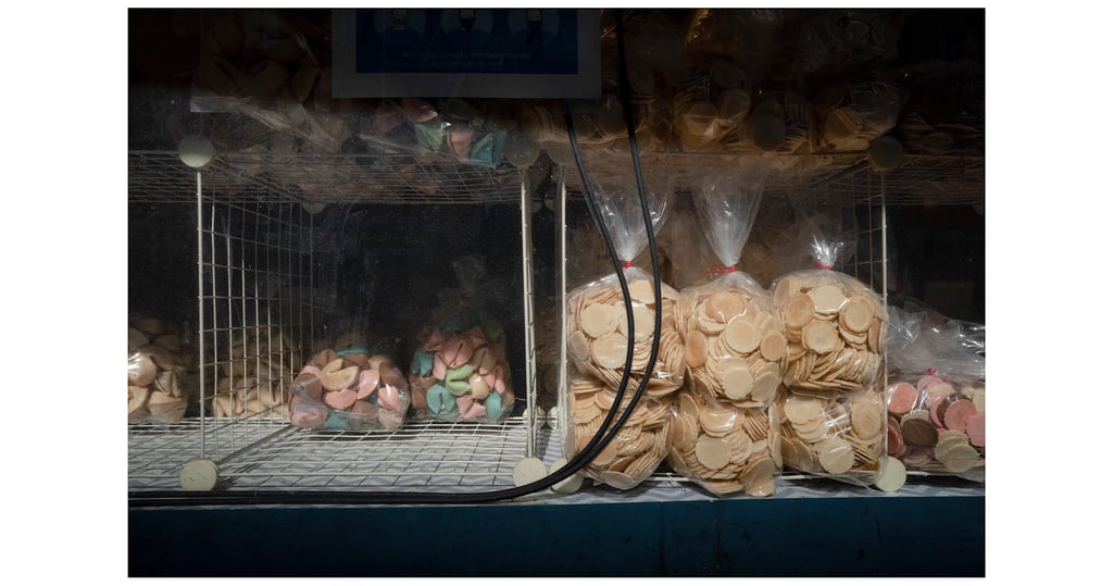 Leica-Q3-A-Few-DaysDay-2-21