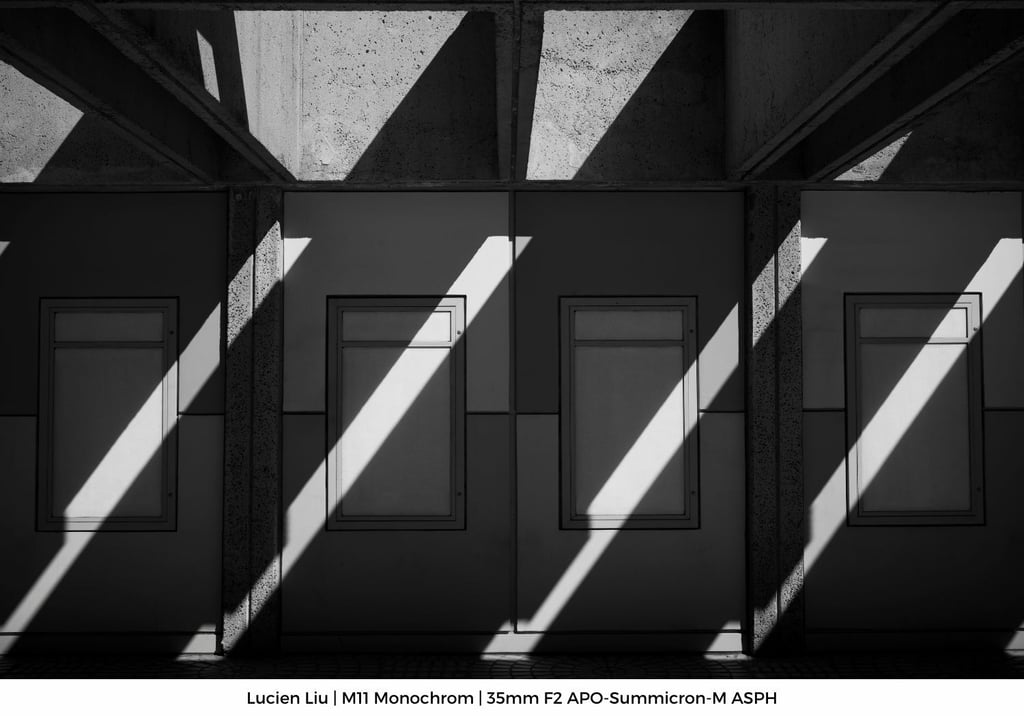 Lucien-Gallery-M119