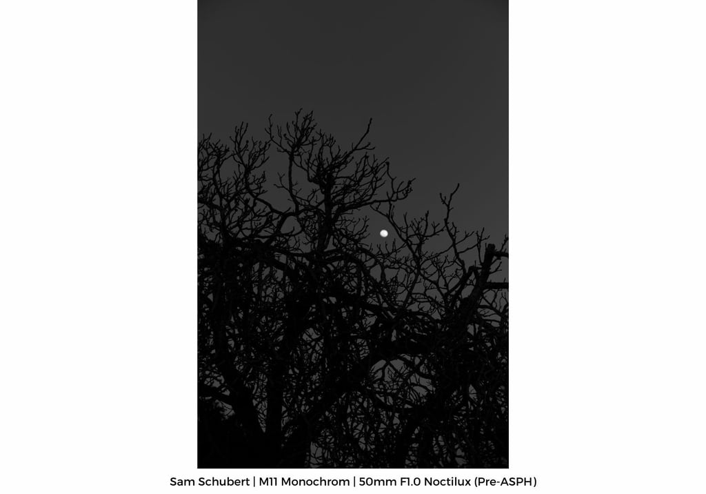 Sam-Gallery-M114