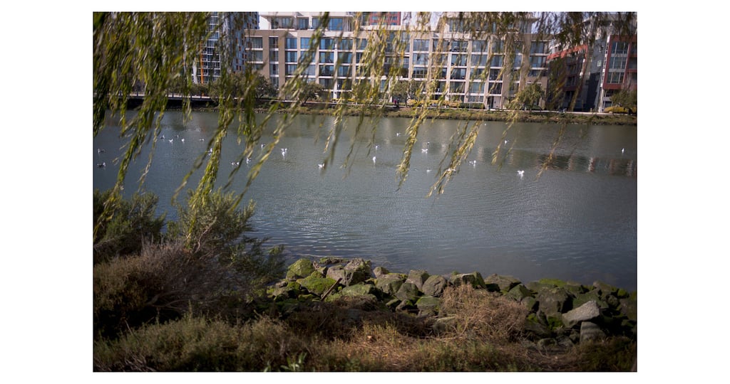 TP&S 28 Summilux28 Lux Video 2