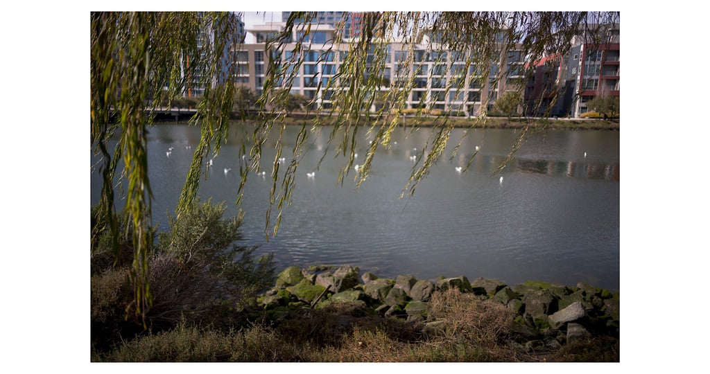 TP&S 28 Summilux28 Lux Video 3