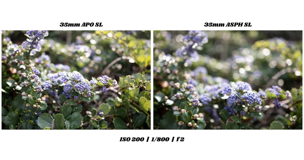 apo-vs-APSH-SL35-apo-asph-2