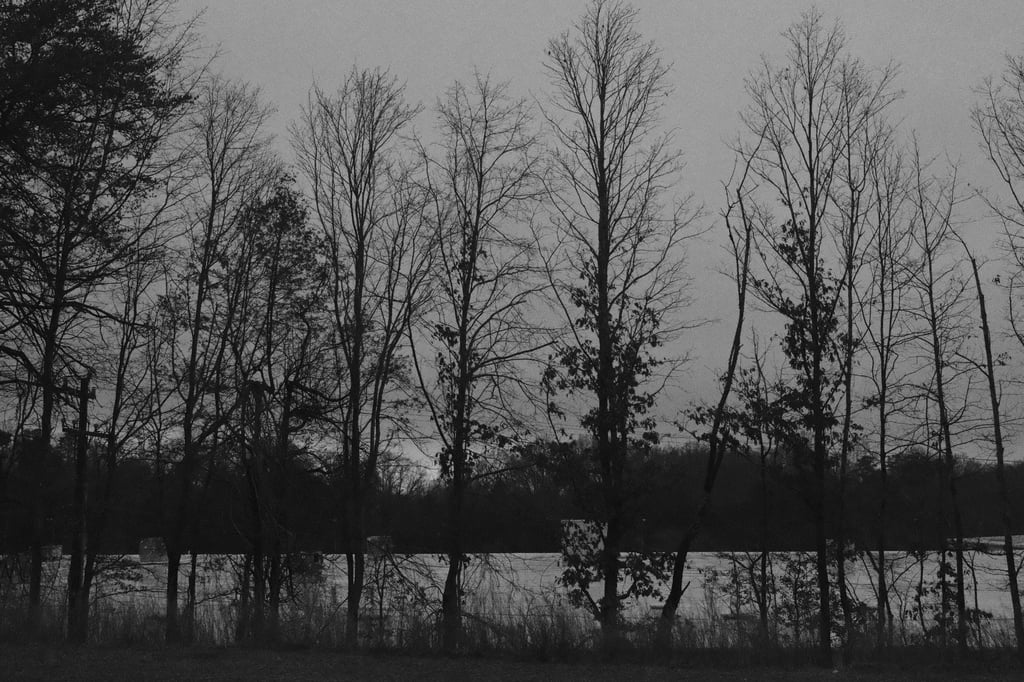 BenC-X100VI-Gallery-_DSF0347