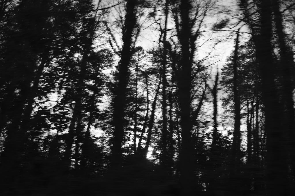 BenC-X100VI-Gallery-_DSF0386