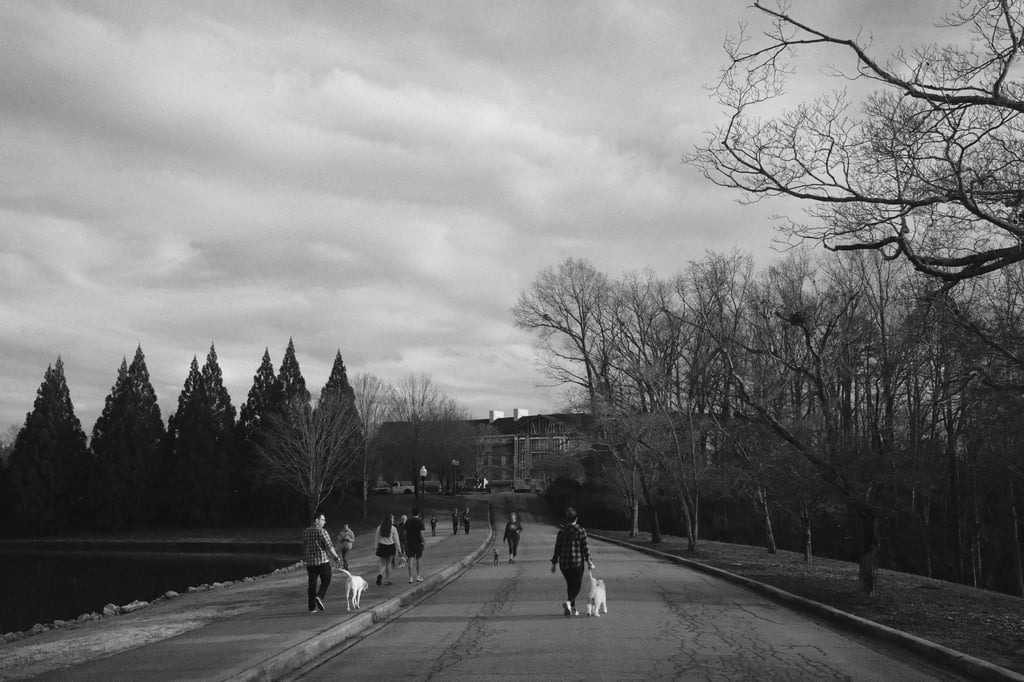 BenC-X100VI-Gallery-_DSF0429