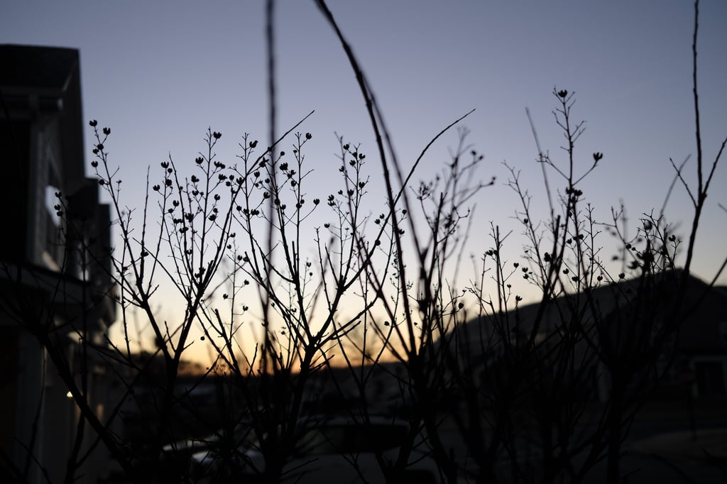 BenC-X100VI-Gallery-_DSF0886