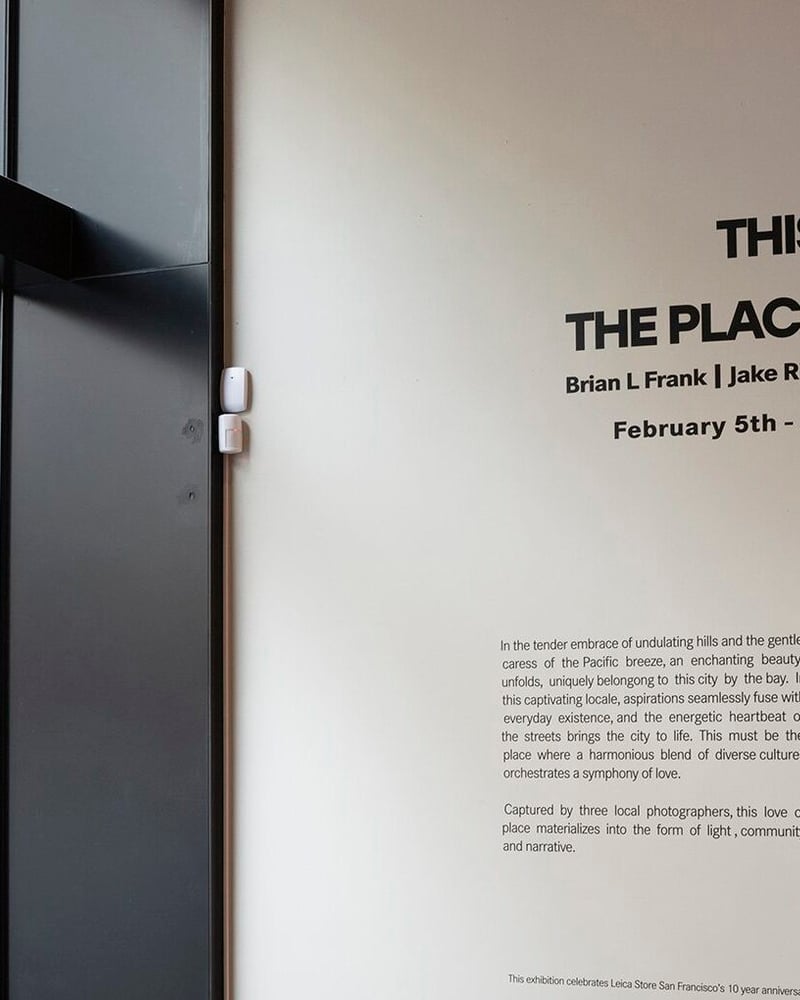 “This Must Be The Place” – Exhibition Insight