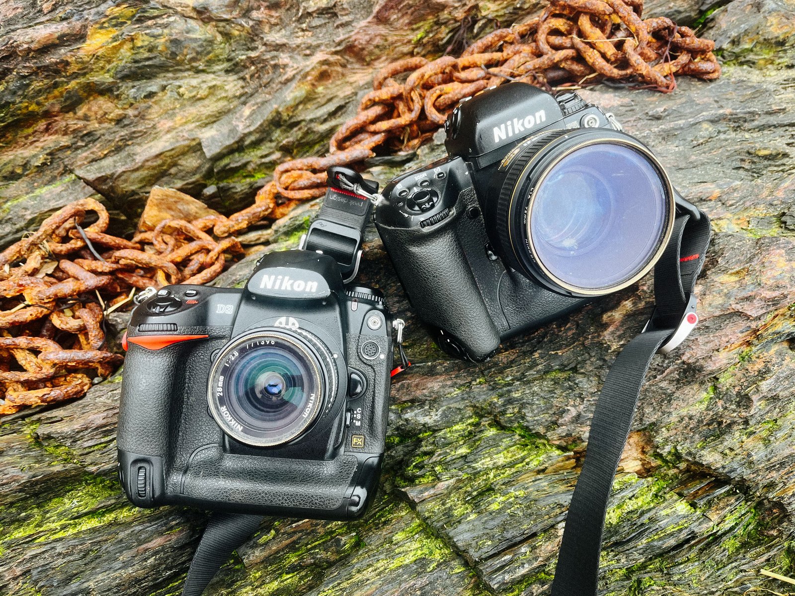 Digital Dinosaur 2: Rise of the Nikon D3