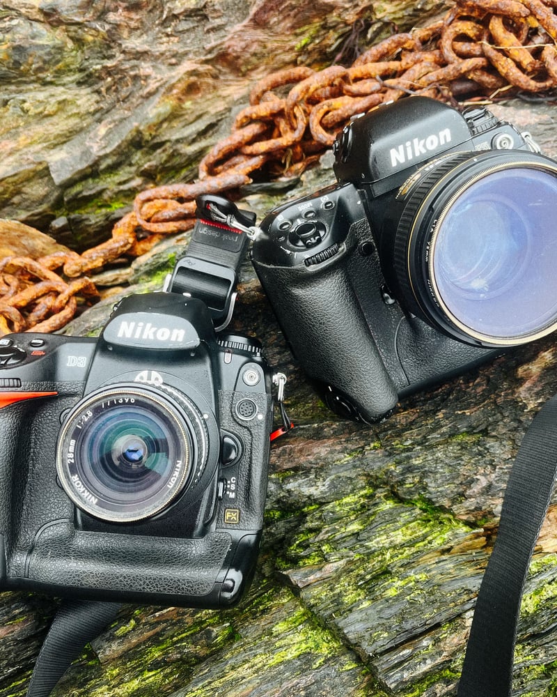 Digital Dinosaur 2: Rise of the Nikon D3