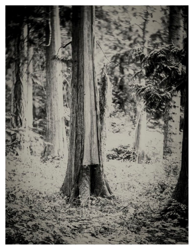 PRESENCE-02p-Edit-2