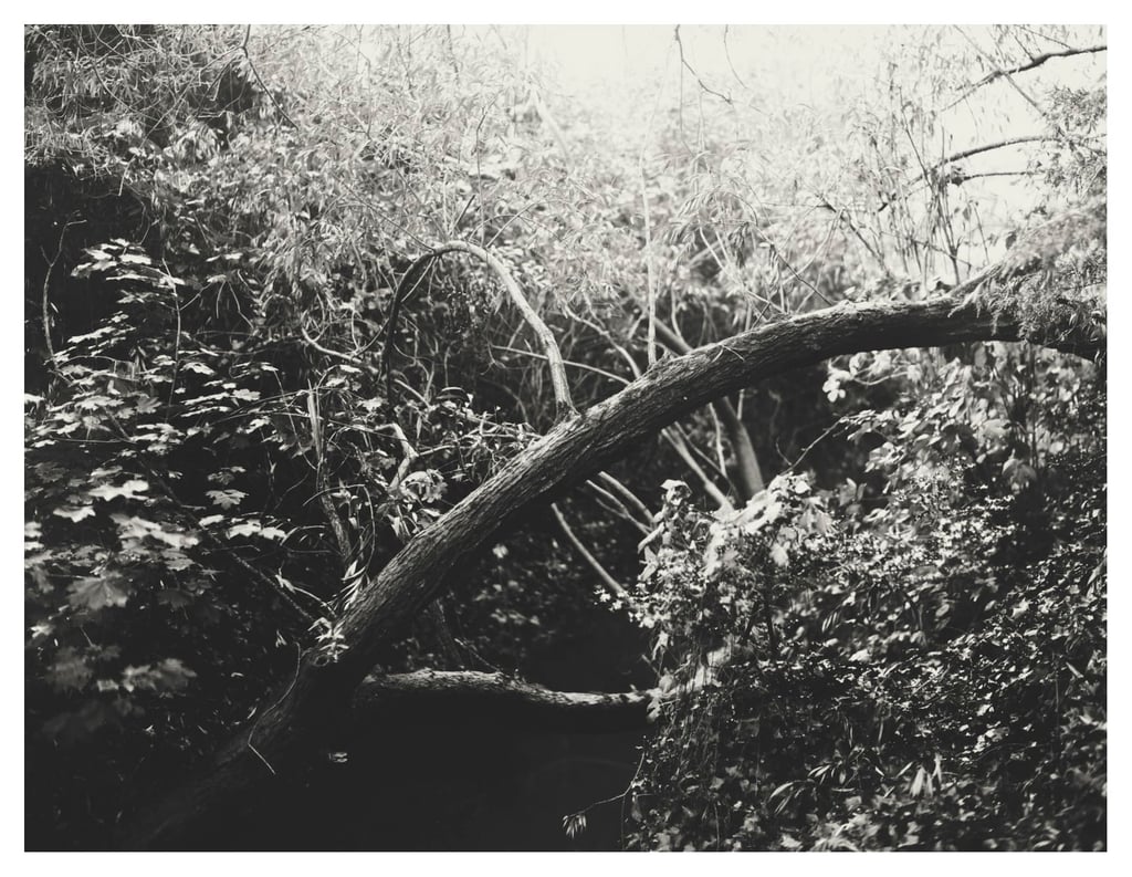 PRESENCE-1113p-Edit