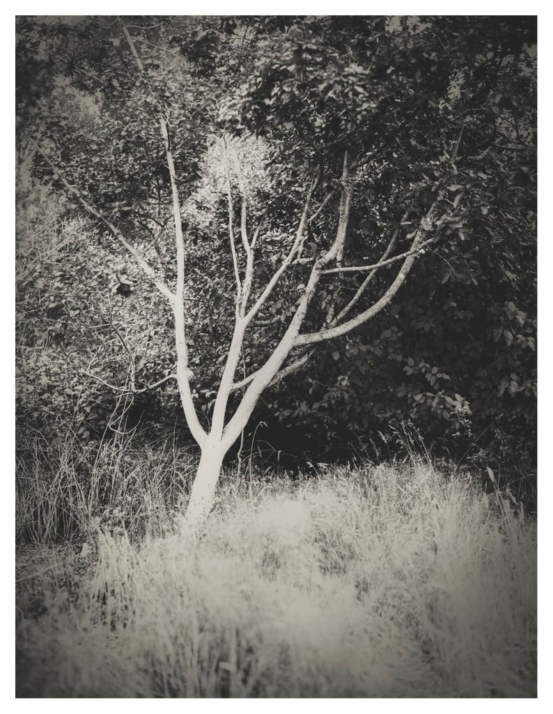 PRESENCE-14-0001p-Edit