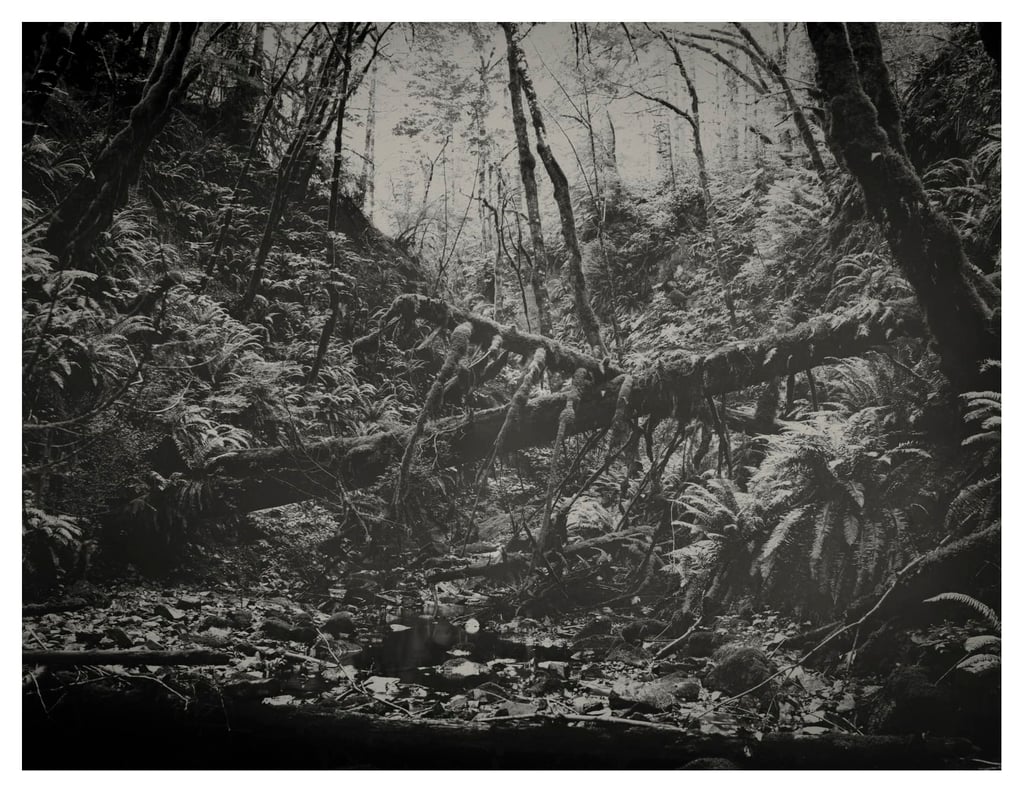 PRESENCE-15-0001-Edit