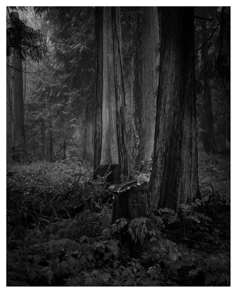 SOLACE-0373