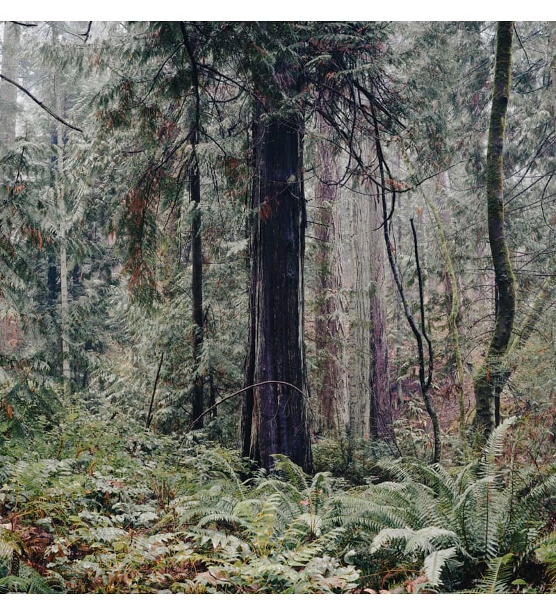 A Few Frames: Quinton Gordon: The Truth About Photographs