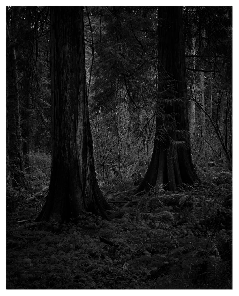 SOLACE-0701