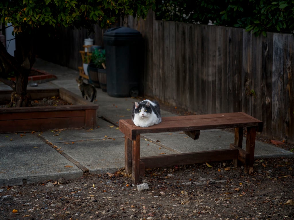 Max Underwood Hasselbald XCD 75mm f3.4 P 7