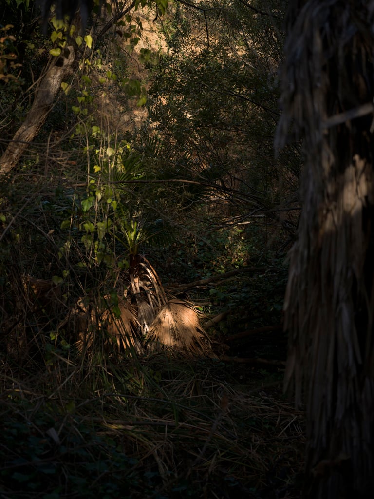 Max Underwood Hasselbald XCD 75mm f3.4 P