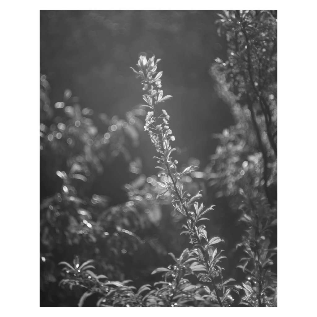 L1002012 copy