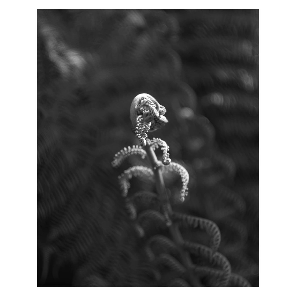 L1002053 copy