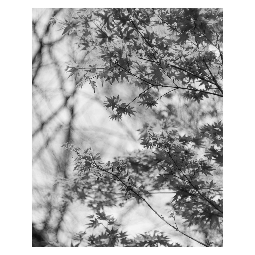 L1002063 copy