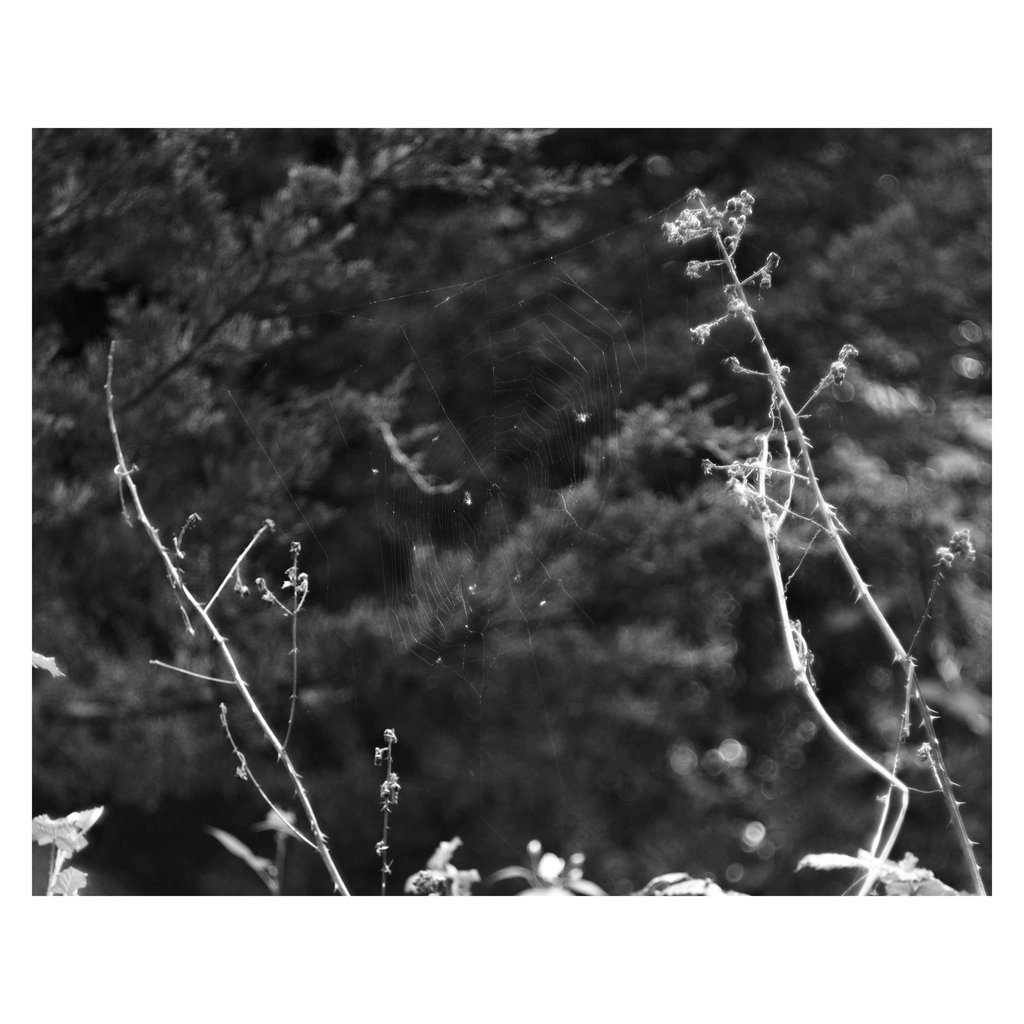 L1002094 copy
