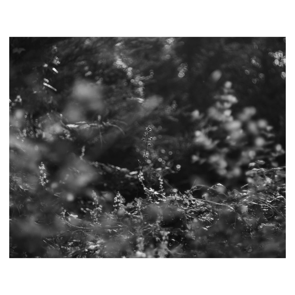 L1002097 copy