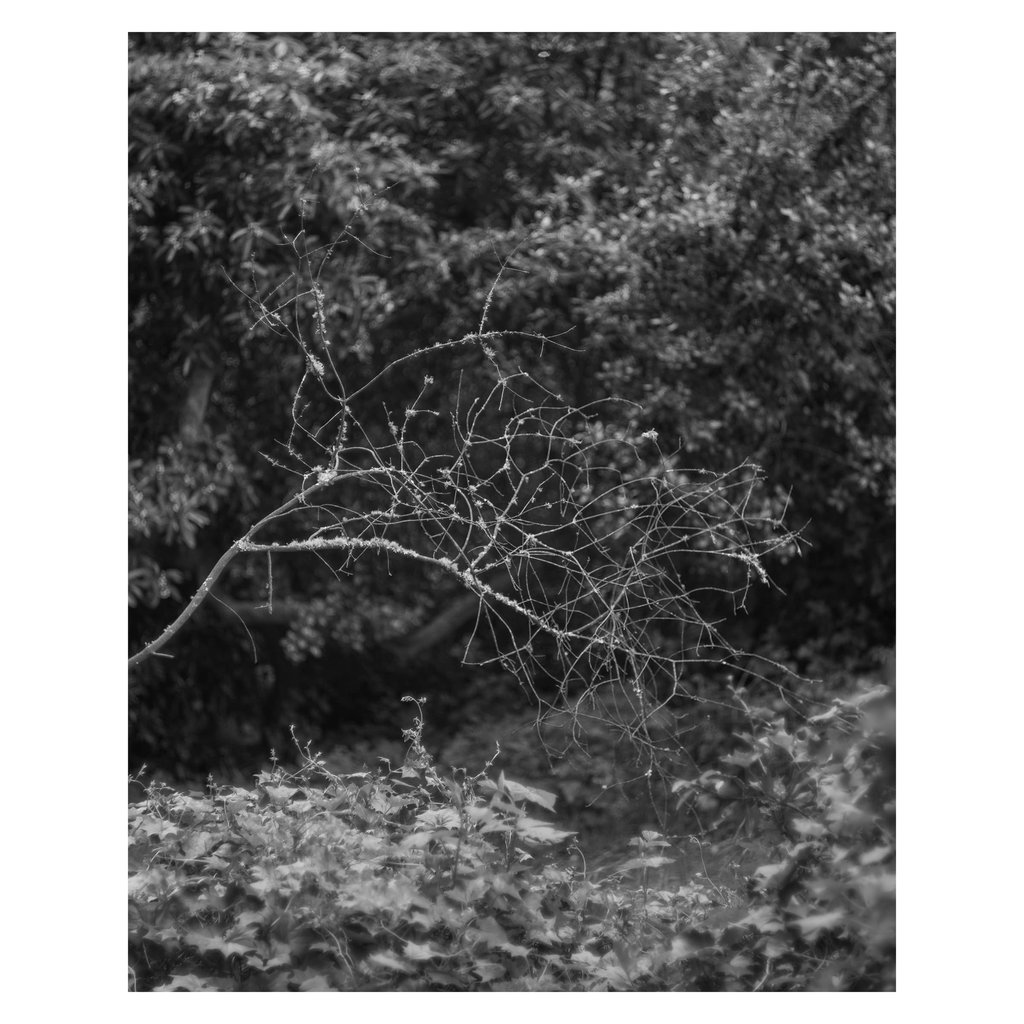 L1002135 copy