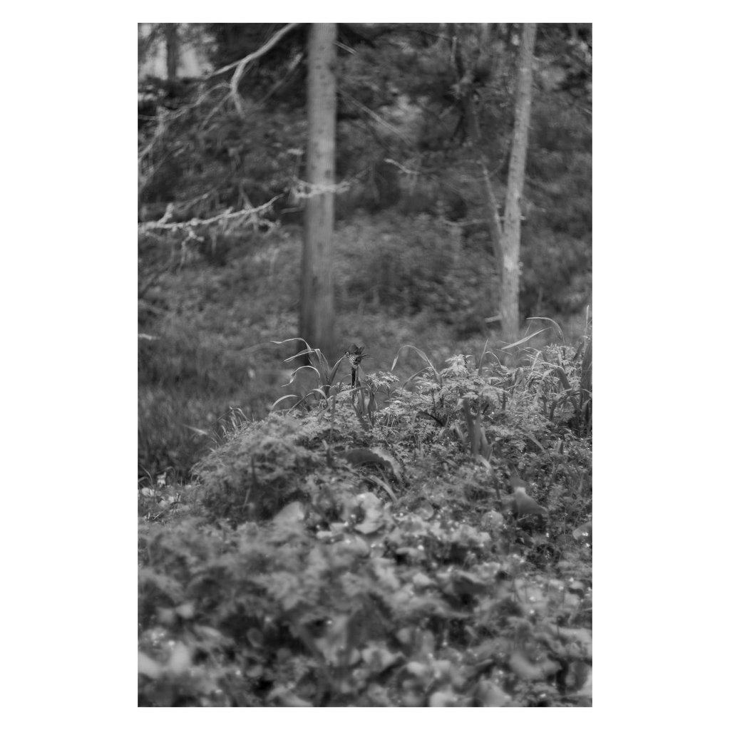 L1002157 copy 2