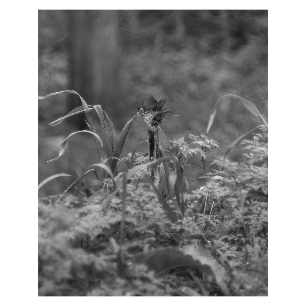 L1002157 copy