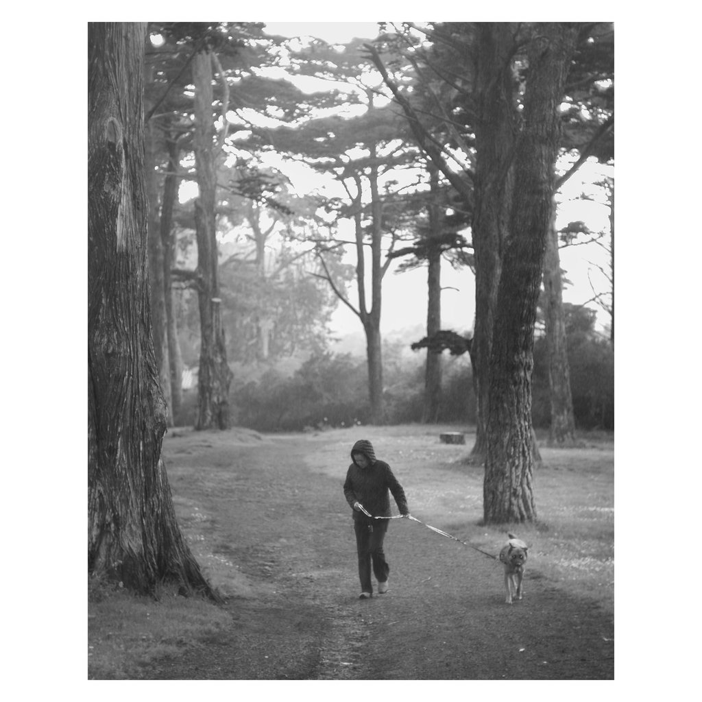 L1002169 copy