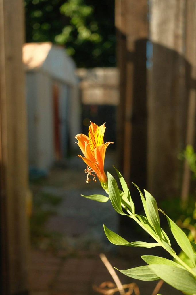unnamed (1)
