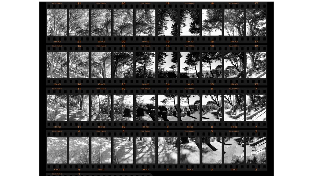 Main.00_18_08_03.Still022